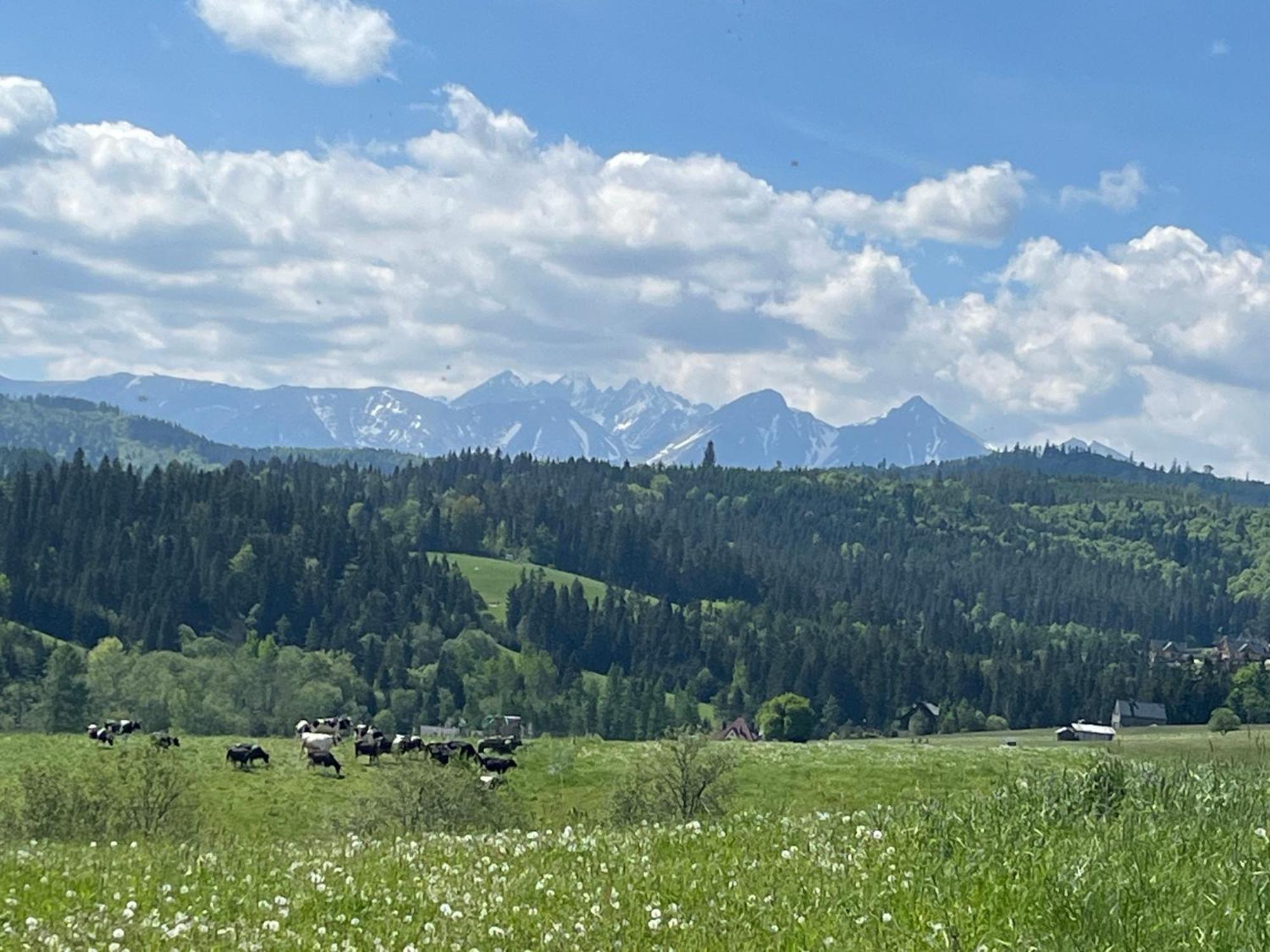Pieniny * Łapsze Niżne