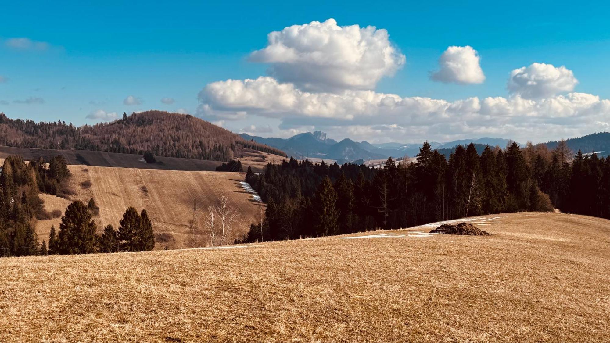 Pieniny Apartment Łapsze Niżne